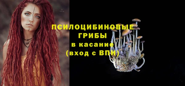 СК Балахна